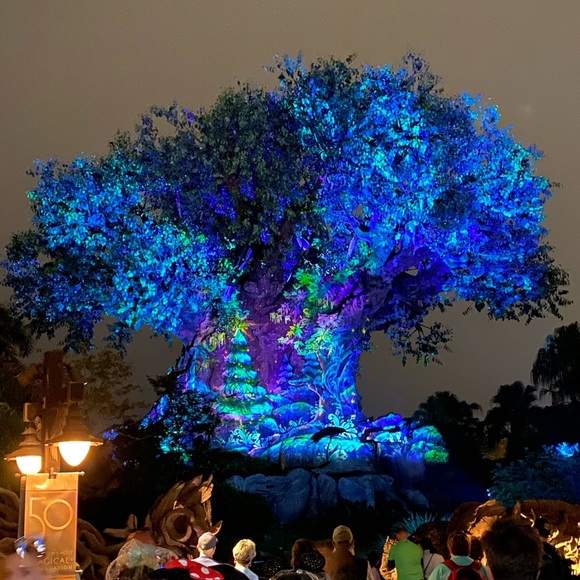 Meet your Posher, Mike - Picture 12 of 15